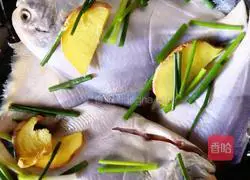 Illustration of how to make white pomfret in stone pot 1