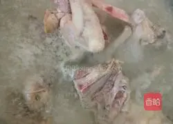 Illustration of American Ginseng Stewed Pigeon Soup 1