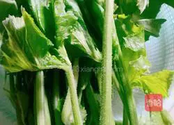 Pumpkin sprout soup recipe 1