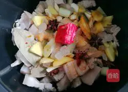 Illustration of Braised Pork 5