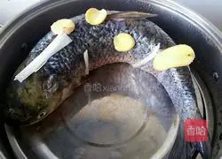 Illustration of steamed grass carp 3