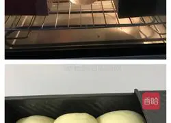 Hokkaido toast (medium seeding method) illustration 11