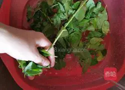 Illustration of how to make wolfberry leaf lean meat soup 3