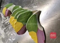 Illustration of how to make spinach, purple sweet potato and pumpkin steamed buns 6