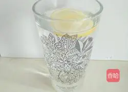 Passion Fruit Lemon Tea Recipe Illustration 2