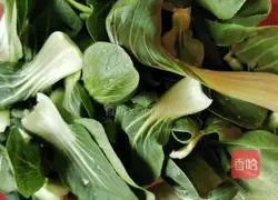 Vegetarian stuffed wontons (Debut) Illustration of how to do it 2