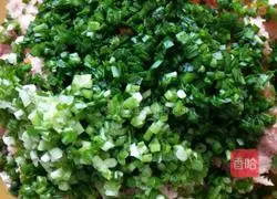 Illustration of how to make dumplings 2