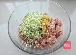 Pork, pickled cabbage and dumplings recipe 3