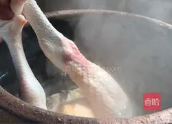 Gardenia chicken soup recipe 2