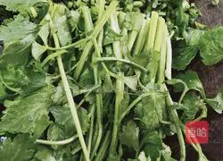 Illustration of how to make pork, sweet potato and vermicelli fried dumplings 3