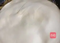 Illustration of making potato stewed bean cake in one pot 20