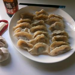 Dumplings with four fresh fillings