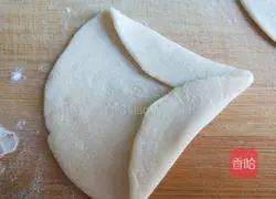 Xinwen Gourmet Butterfly Steamed Dumplings Illustration 6