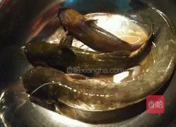 Catfish tofu soup recipe 2