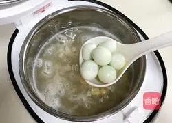 Illustration of Five Fruit Soup 7