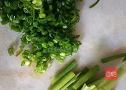 onion Illustration of cooking noodles with oil 1