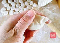 Illustration of how to make pork and cabbage dumplings 19