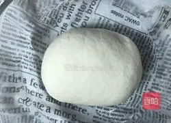 Leek Pot Stickers- Magic flour recipe 7