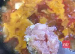 Tomato, Tofu and Meatball Soup Recipe Illustration 14