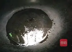 Illustration of how to make garlic, celery and pig blood 5