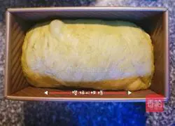 Watermelon toast recipe 18