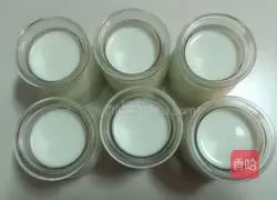 Illustration of how to make original yogurt 5