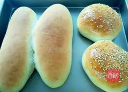 Honey Mustard Hot dog recipe illustration 1