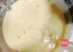 Mango Oatmeal Nut Dew Recipe Illustration 9