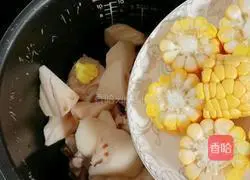 Cordyceps Flower Pork Bone Soup Recipe Illustration 9