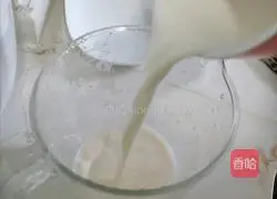 Mango Milkshake Recipe Illustration 3