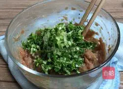 Health and Fitness Wonton Recipe Illustration 6