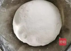 Illustration of how to make zucchini and pork vermicelli dumplings 2