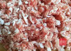 Xinwen Gourmet Lamb Illustration of how to make carrot dumplings 1