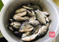 Illustration of how to make crucian carp soup 1