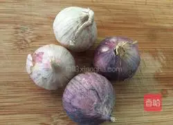 Garlic Bone Recipe Illustration 2