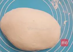 Illustration of how to make pork and mushroom dumplings 6