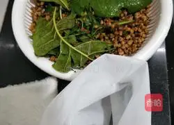 Illustration of how to cook loquat leaves 4