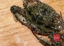 Illustration of Thai pickled crabs 1