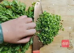 Illustration of how to make pork and coriander dumplings 6