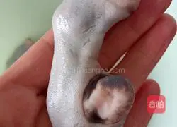 Illustration of how to make Angelica and sheep's hooves soup 2