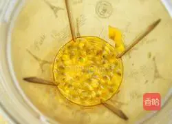 Passion Fruit Lemon Pomelo Juice Recipe Illustration 2