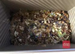 Banana Cake Recipe Illustration 16