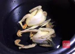 Recipe for Red Date, Wolfberry and Pigeon Soup 5