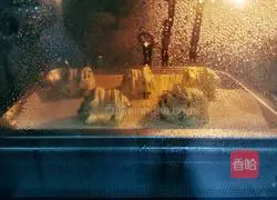 Illustration of how to make spring onion rolls 17