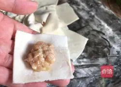Illustration of how to make shrimp wontons 12