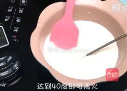 Tangzhentang~Illustration of homemade old yogurt 3