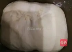 Pizza dough recipe 3