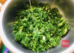 Illustration of how to make shepherd's purse and large meat dumplings 6