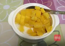 Mango yogurt recipe 8