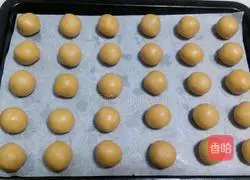 Illustration of how to make peanut butter cookies 7